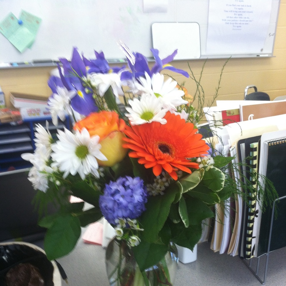 Meet your Posher, Julie